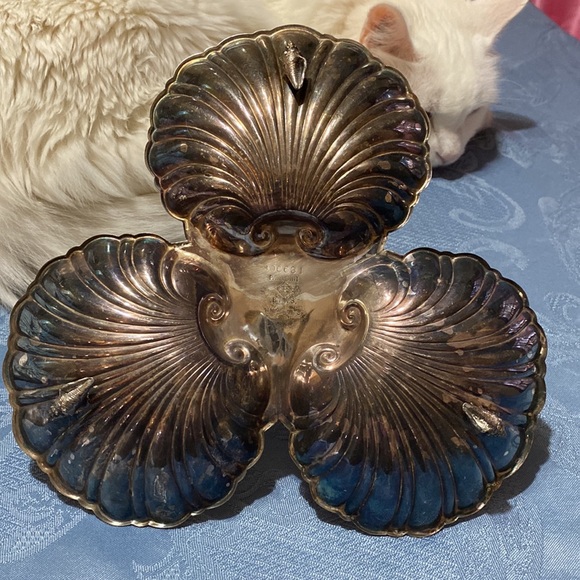 3 Compartment Shell Condiment Dish - Picture 13 of 13